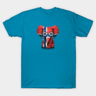 Baby Elephant with Glasses and Norwegian Flag T-Shirt